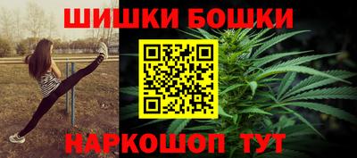 тгк Новодвинск
