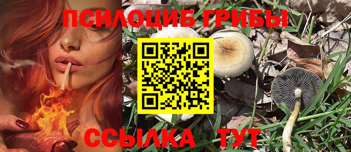 Галлюциногенные грибы мухоморы  Вход с VPN  Старая Купавна 